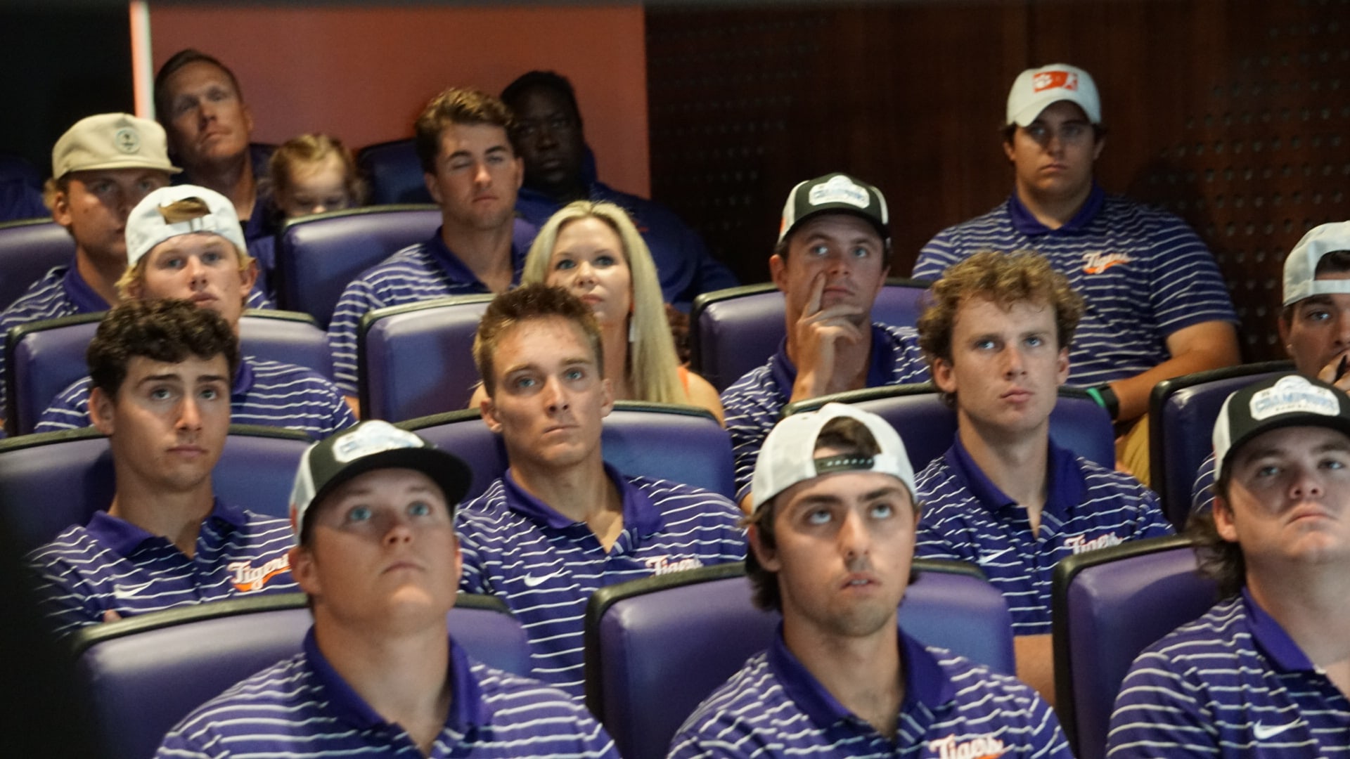 Team - Clemson Baseball Regional Show