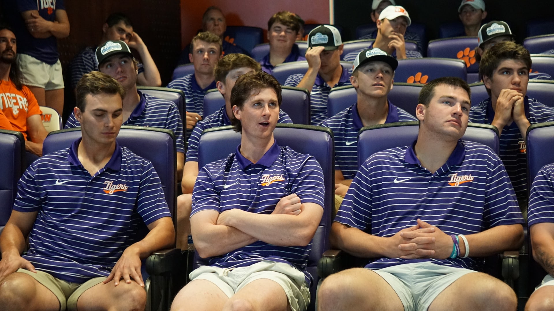 Team - Clemson Baseball Regional Show