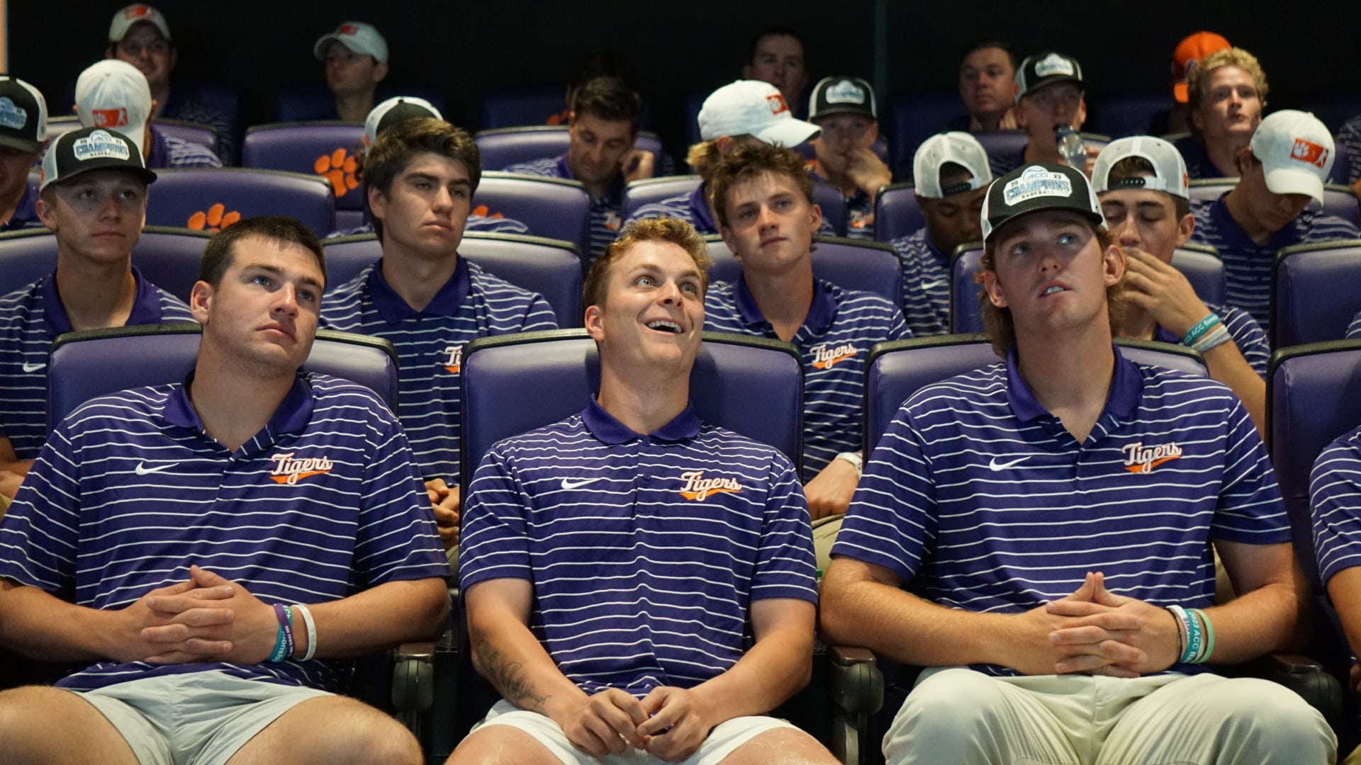 Team - Clemson Baseball Regional Show